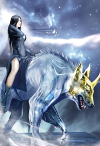 全能极限之王